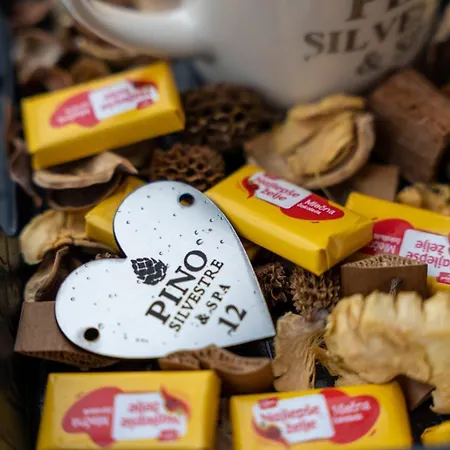 Pino Silvestre Apartman