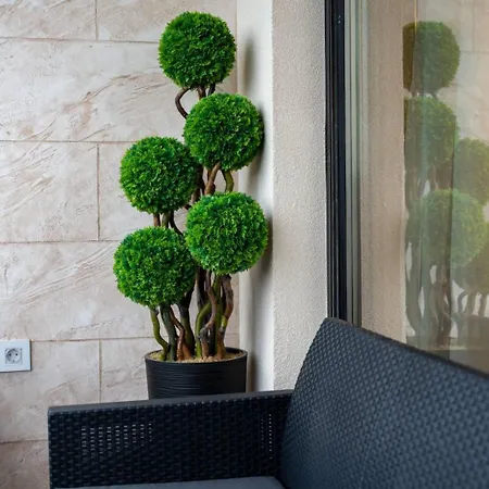 Apartment Pino Silvestre Zlatibor