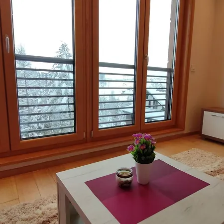 Pino Silvestre * Zlatibor